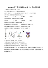 2023-2024学年四川省雅安市九年级(上)期末物理试卷(含详细答案解析)