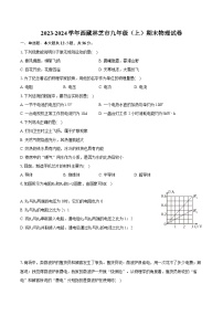 2023-2024学年西藏林芝市九年级（上）期末物理试卷（含详细答案解析）