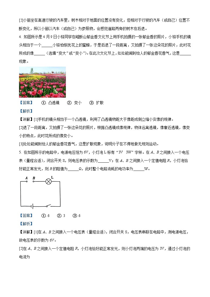 2024年河南省驻马店市中考二模物理试卷(原卷版+解析版)02