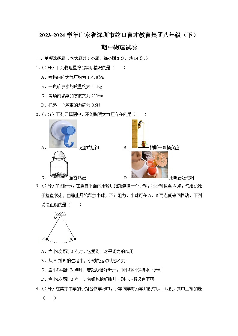 广东省深圳市蛇口育才教育集团2023-2024学年八年级下学期期中物理试卷01