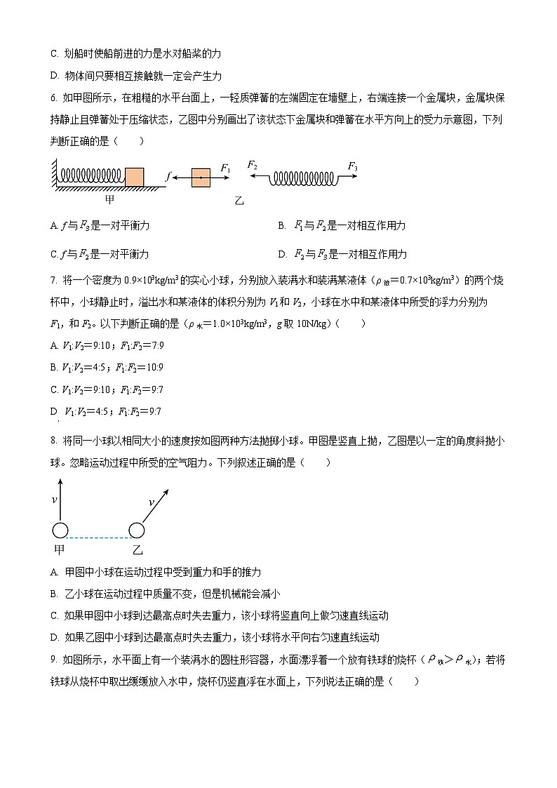 2024年江苏省南京师范大学附属中学宿迁分校中考物理模拟练习(原卷版)第2页