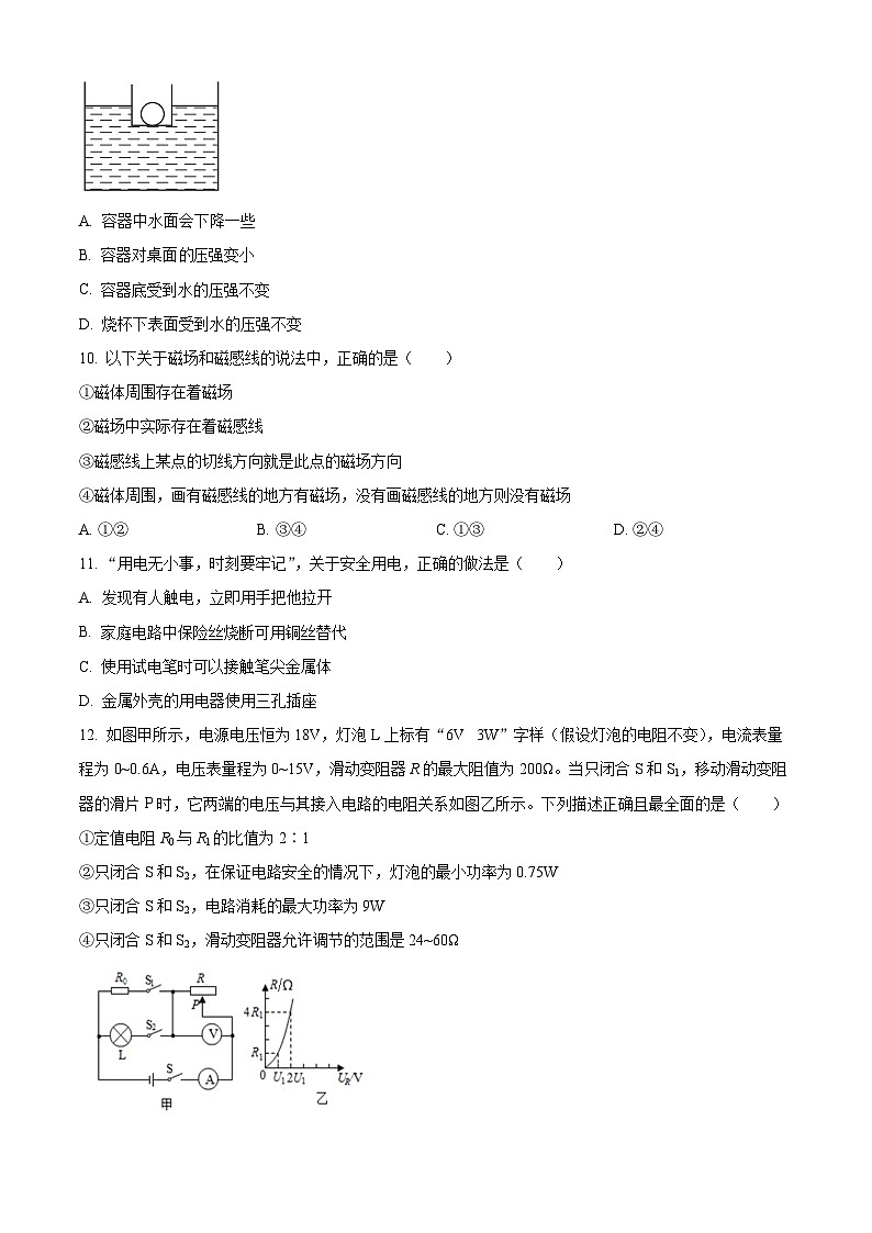 2024年江苏省南京师范大学附属中学宿迁分校中考物理模拟练习(原卷版)第3页