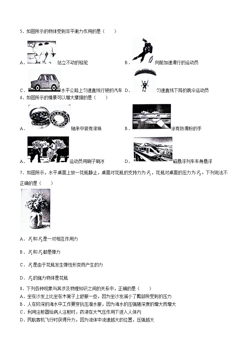 湖北省安陆市2023-2024学年八年级下学期期中质量调研物理试卷第2页