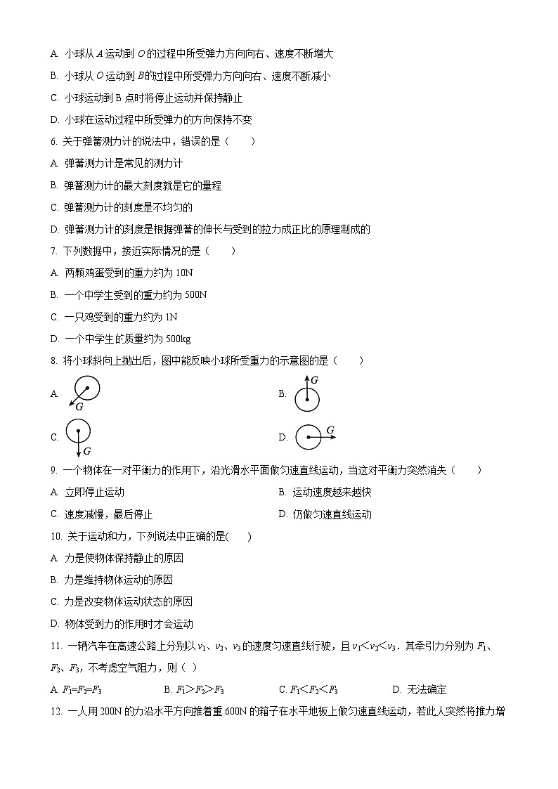 甘肃省武威市凉州区武威第二十四中学教研联片2023-2024学年八年级下学期3月月考物理试题(原卷版)第2页