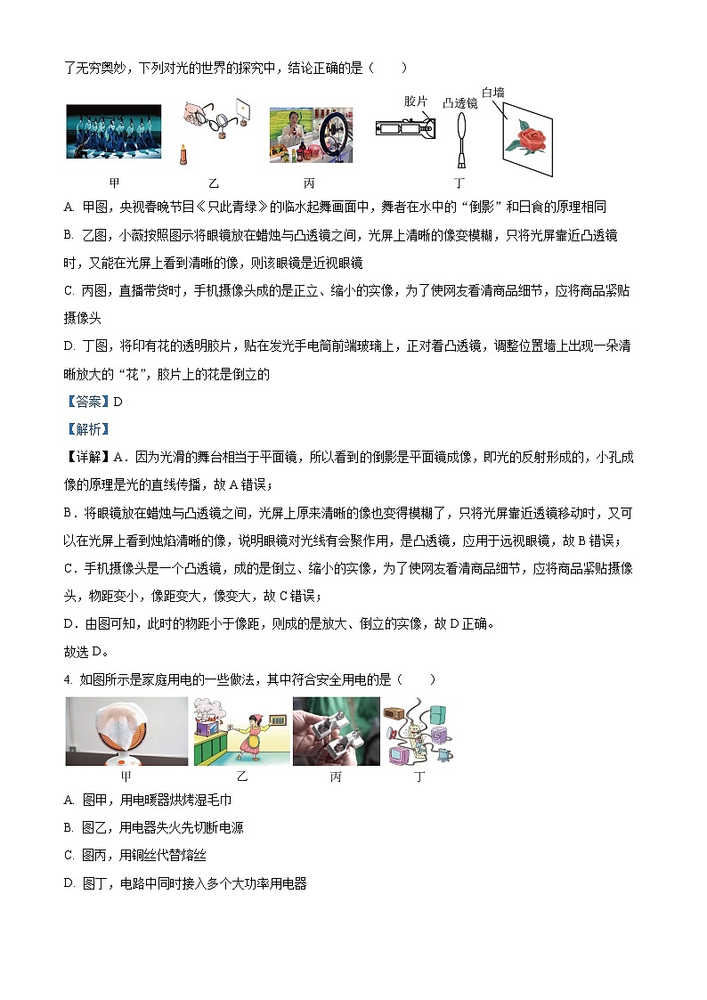 2024年云南西雙版納九年級(jí)中考一模物理試題（解析版）第3頁
