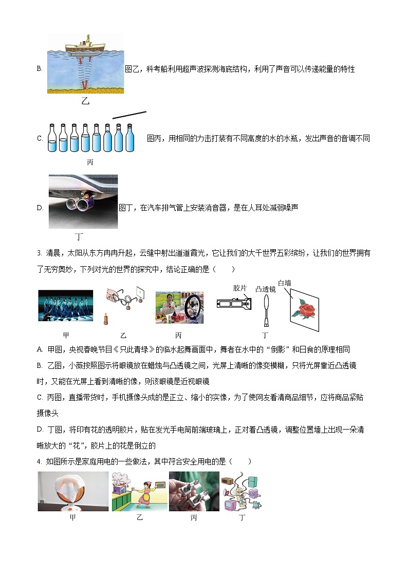 2024年云南西雙版納九年級(jí)中考一模物理試題（原卷版）第2頁