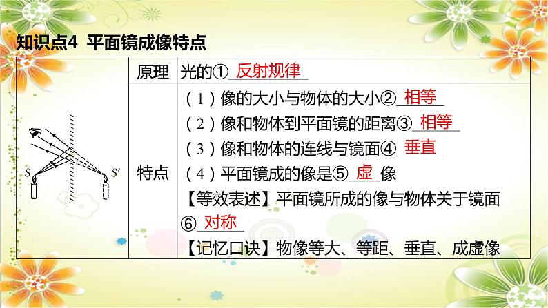 2024年中考物理专题课件:第4讲 光的反射 平面镜成像第5页