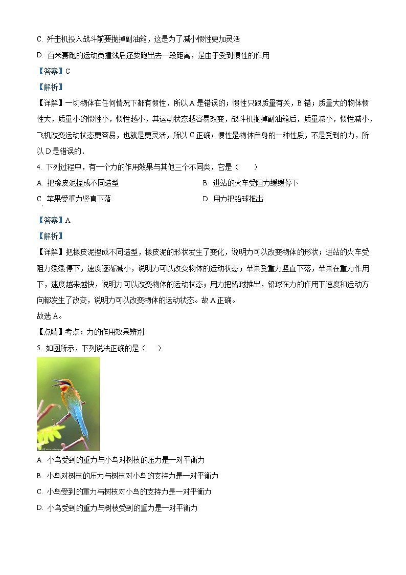 广东省汕头市金平区汕樟中学2023-2024学年八年级下学期4月期中物理试题(解析版)第2页