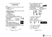 山东省泰安市肥城市2023-2024学年八年级下学期期中考试物理试题