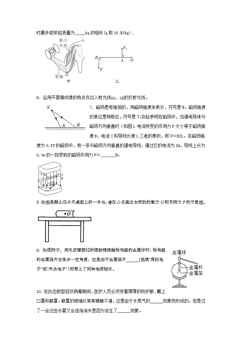2024年安徽省芜湖市中考物理模拟试卷第2页