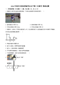 2024年广东省清远市连州市九校联考中考二模物理试题（原卷版+解析版）