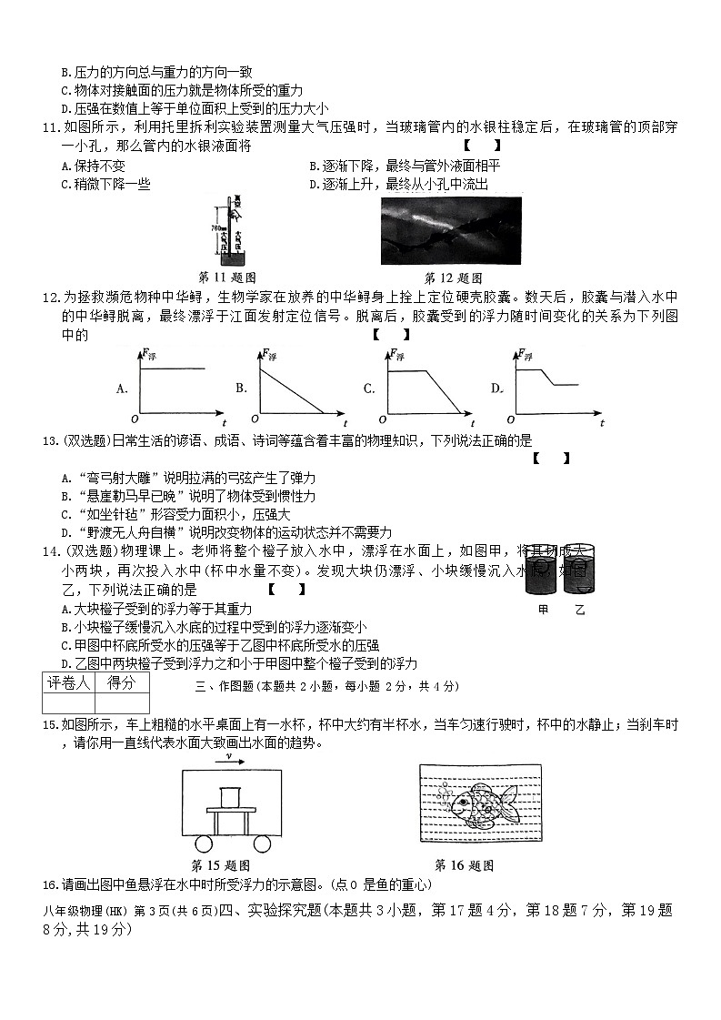 河南省周口市沈丘县沈丘县中英文学校等校2023-2024学年八年级下学期4月期中物理试题第3页