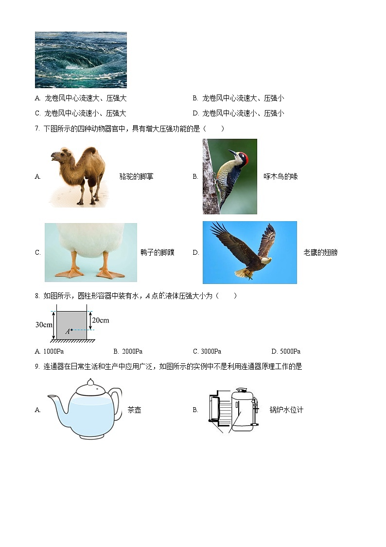 福建省龙岩市上杭县第四中学等三校2023-2024学年八年级下学期期中考试物理试题(原卷版)第3页