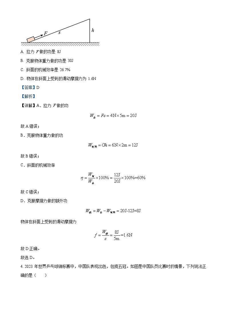 2024年广东省肇庆市地质中学九年级下学期第一次模拟考试物理试题(原卷版+解析版)02