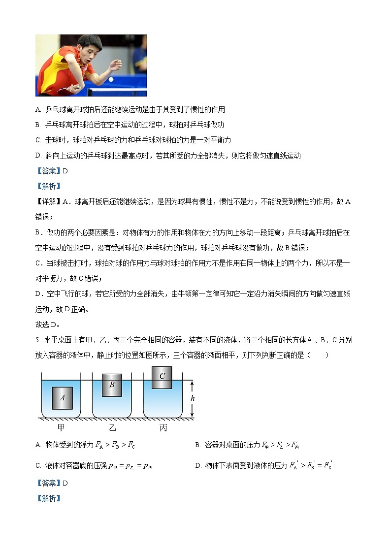 2024年广东省肇庆市地质中学九年级下学期第一次模拟考试物理试题(原卷版+解析版)03