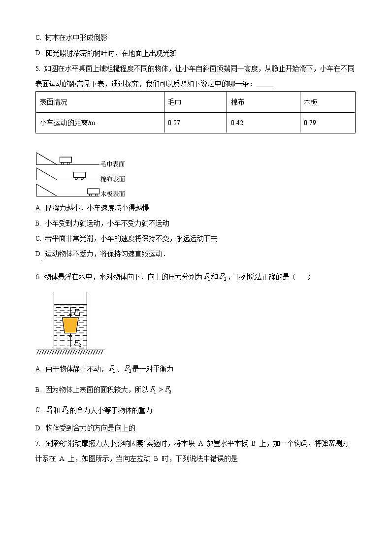 2024年四川省达州市达川区中考二模理综物理试题(原卷版)第2页