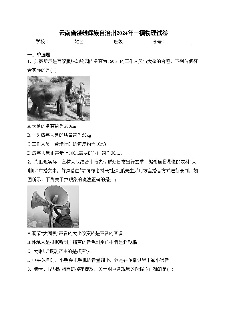 云南省楚雄彝族自治州2024年一模物理试卷(含答案)第1页