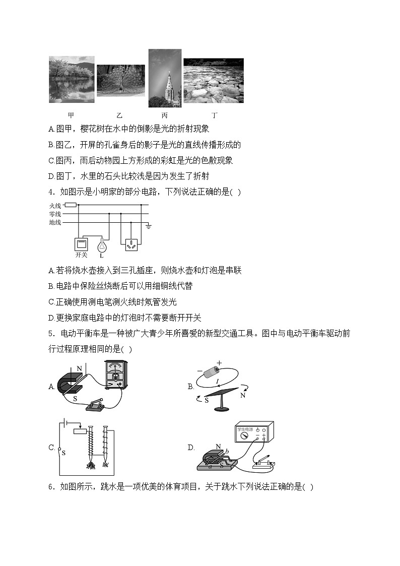 云南省楚雄彝族自治州2024年一模物理试卷(含答案)第2页