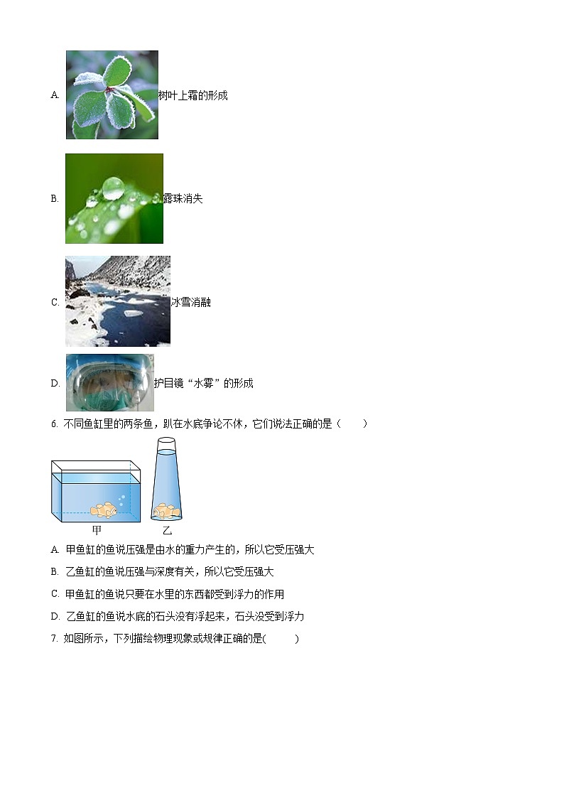 四川省雅安市2024年中考一模考试理科综合题-初中物理(原卷版+解析版)02