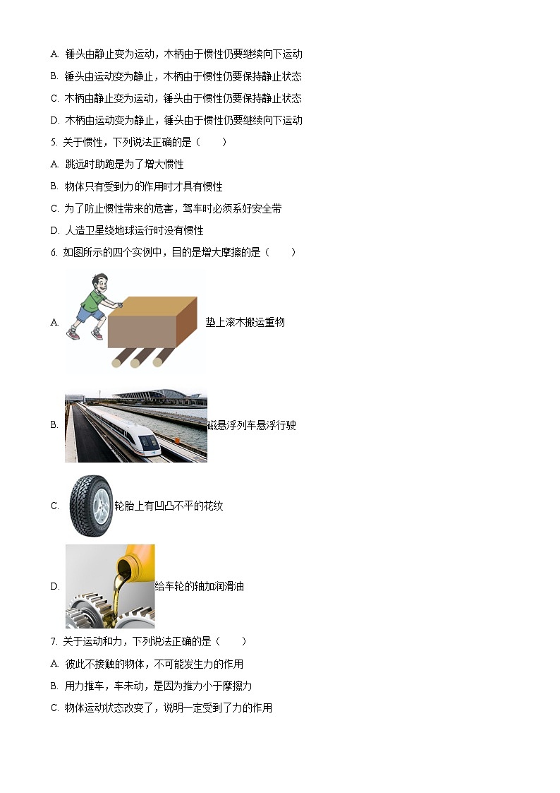 湖南省邵陽市大祥區(qū)渡頭橋中學2023-2024學年八年級下學期期中考試物理試題（原卷版）第2頁