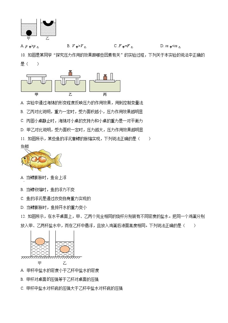 山东省德州市第九中学2023-2024学年八年级下学期期中考试物理试题(原卷版)第3页