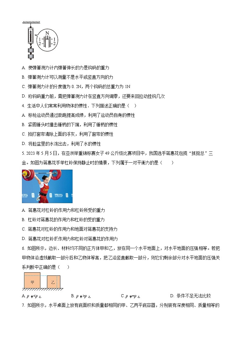 四川省阆中东风中学校 2023-2024学年八年级下学期期中考试物理试题(原卷版+解析版)02