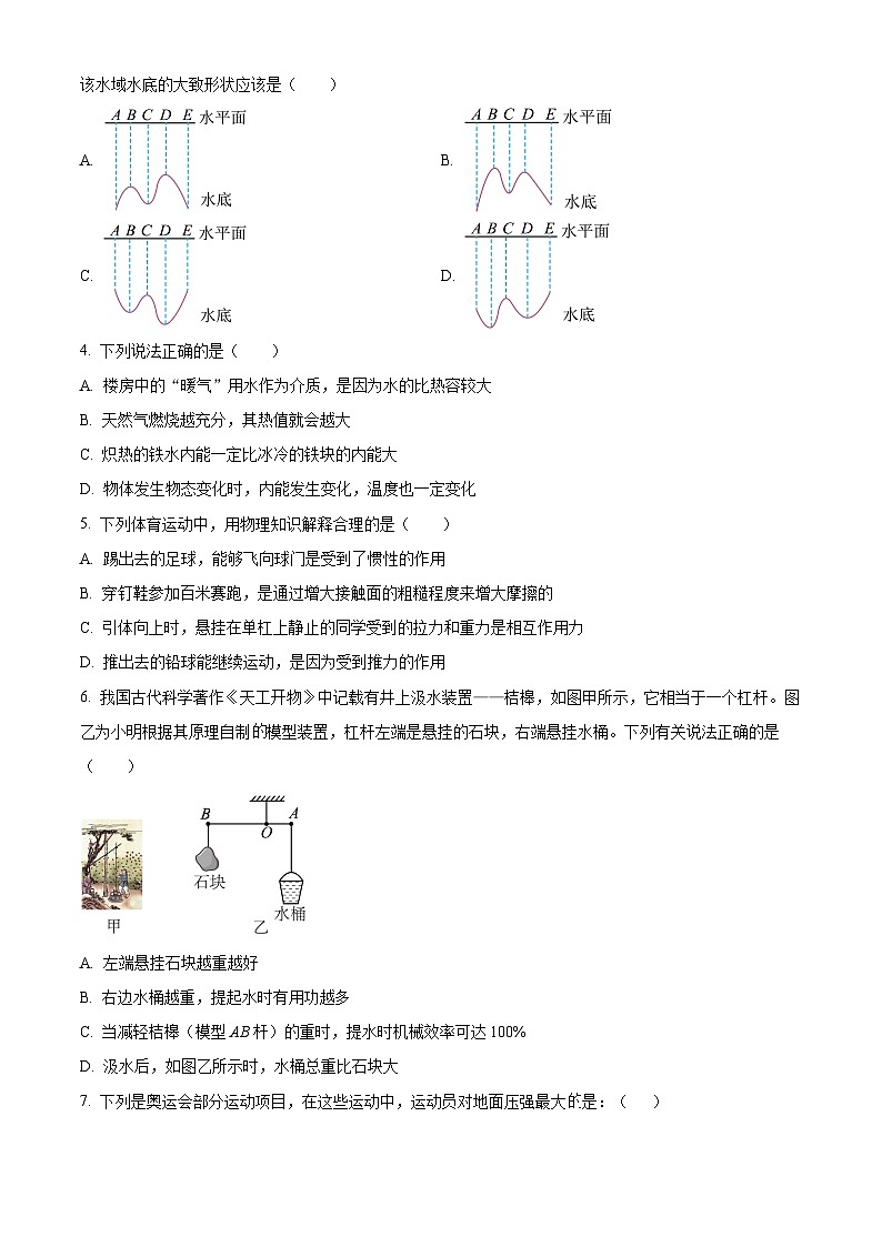 2024年湖北省枣阳市中考适应性考试物理试题(原卷版)第2页