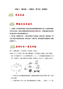 人教版九年级物理全一册同步考点专题训练专题12测电阻——安阻法、替代法(原卷版+解析)