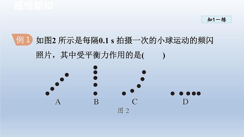 2024八年级物理下册第七章力与运动第三节力的平衡课件(沪科版)第8页