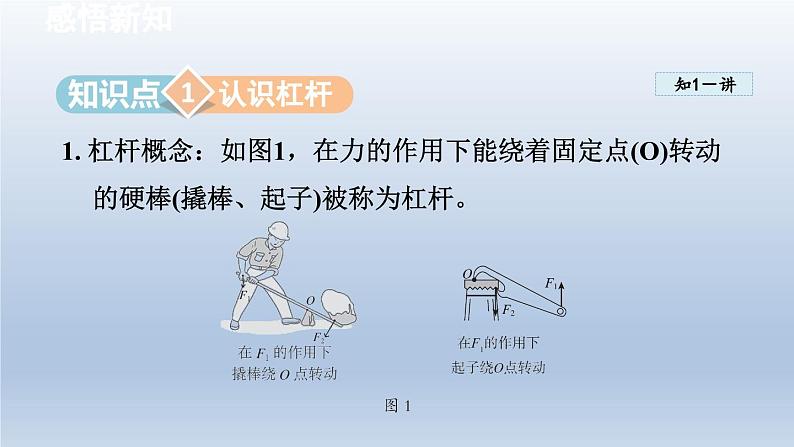 2024八年级物理下册第十章机械与人第一节科学探究:杠杆的平衡条件课件(沪科版)第3页