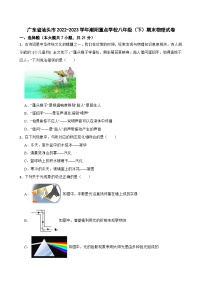 广东省汕头市潮阳重点学校2022-2023学年八年级下学期期末物理试卷