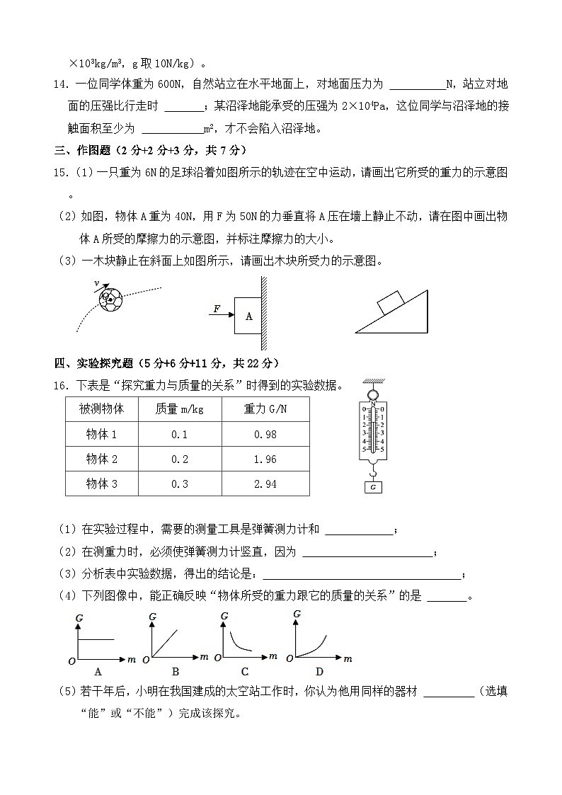 03,广东省韶关市新丰县2023-2024学年八年级下学期期中考试物理试题第3页
