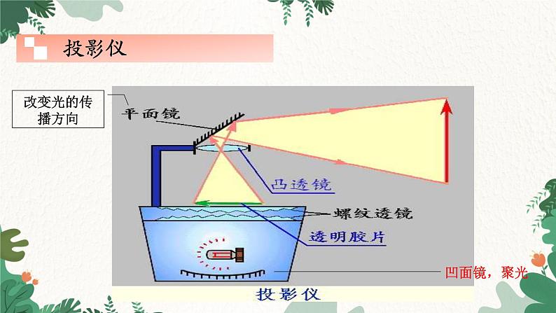 教科版物理八年级上册 第四章5.科学探究:凸透镜成像 第三课时 生活中的透镜课件08