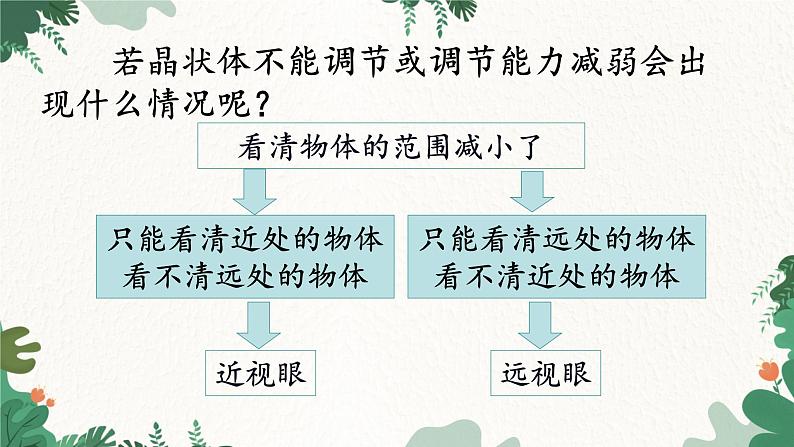 教科版物理八年级上册 第四章6.神奇的眼睛课件06