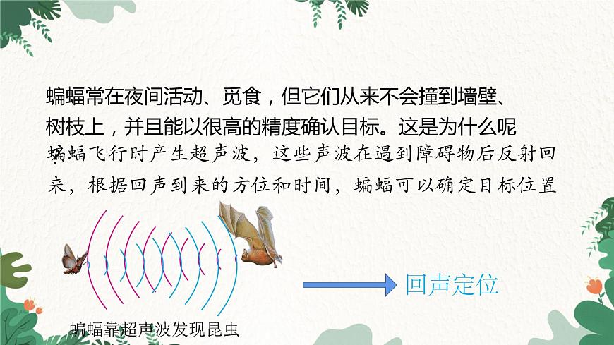 人教版物理八年級(jí)上冊(cè) 第二章第三節(jié) 聲的利用 課件第5頁