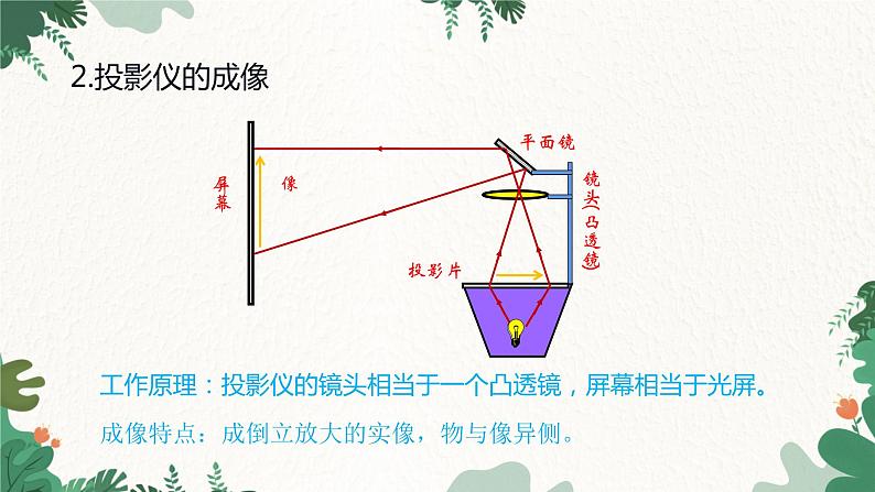 人教版物理八年级上册 第五章第二节 生活中的透镜课件08