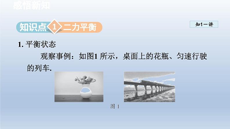 2024八年级物理下册第9章力与运动9.1二力平衡课件(苏科版)03