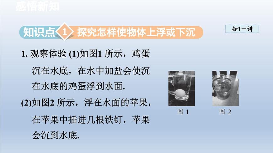 2024八年級(jí)物理下冊(cè)第10章壓強(qiáng)和浮力10.5物體的浮與沉課件（蘇科版）第3頁(yè)
