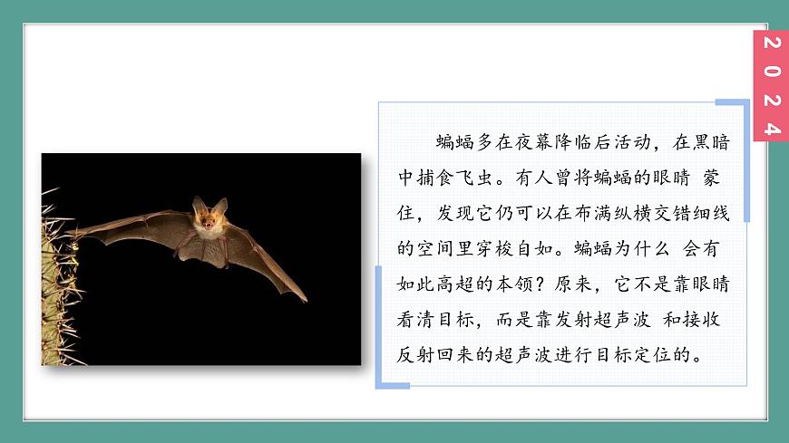 (2024)蘇科版物理八年級上冊(1-4)人耳聽不到的聲音PPT課件第8頁