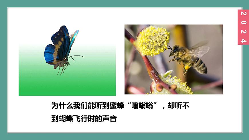 (2024)蘇科版物理八年級上冊1-4人耳聽不到的聲音PPT課件第3頁