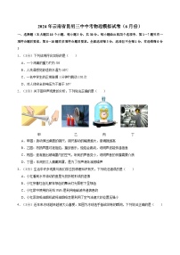 2024年云南省昆明三中中考物理模拟试卷(6月份)