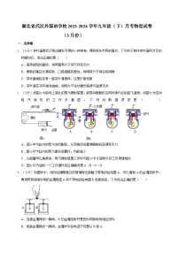 湖北省武汉外国语学校2023-2024学年九年级下学期月考物理试卷(3月份)