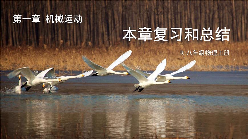 第一章 機(jī)械運動 本章復(fù)習(xí) 課件 2024-2025學(xué)年 人教版物理八年級上冊第1頁