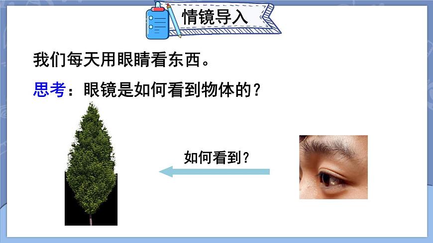 第4節(jié) 眼睛和眼鏡第5頁