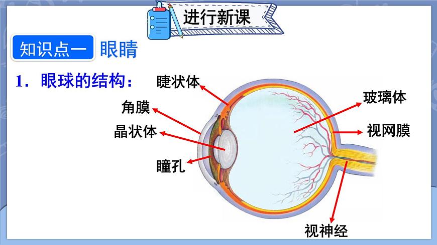 第4節(jié) 眼睛和眼鏡第6頁