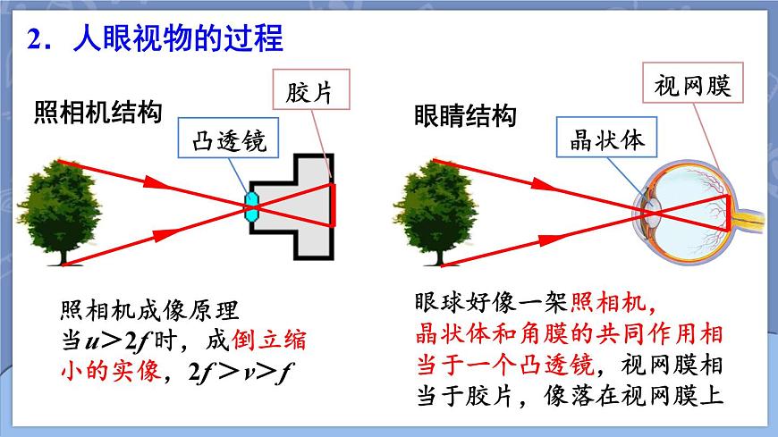 第4節(jié) 眼睛和眼鏡第7頁