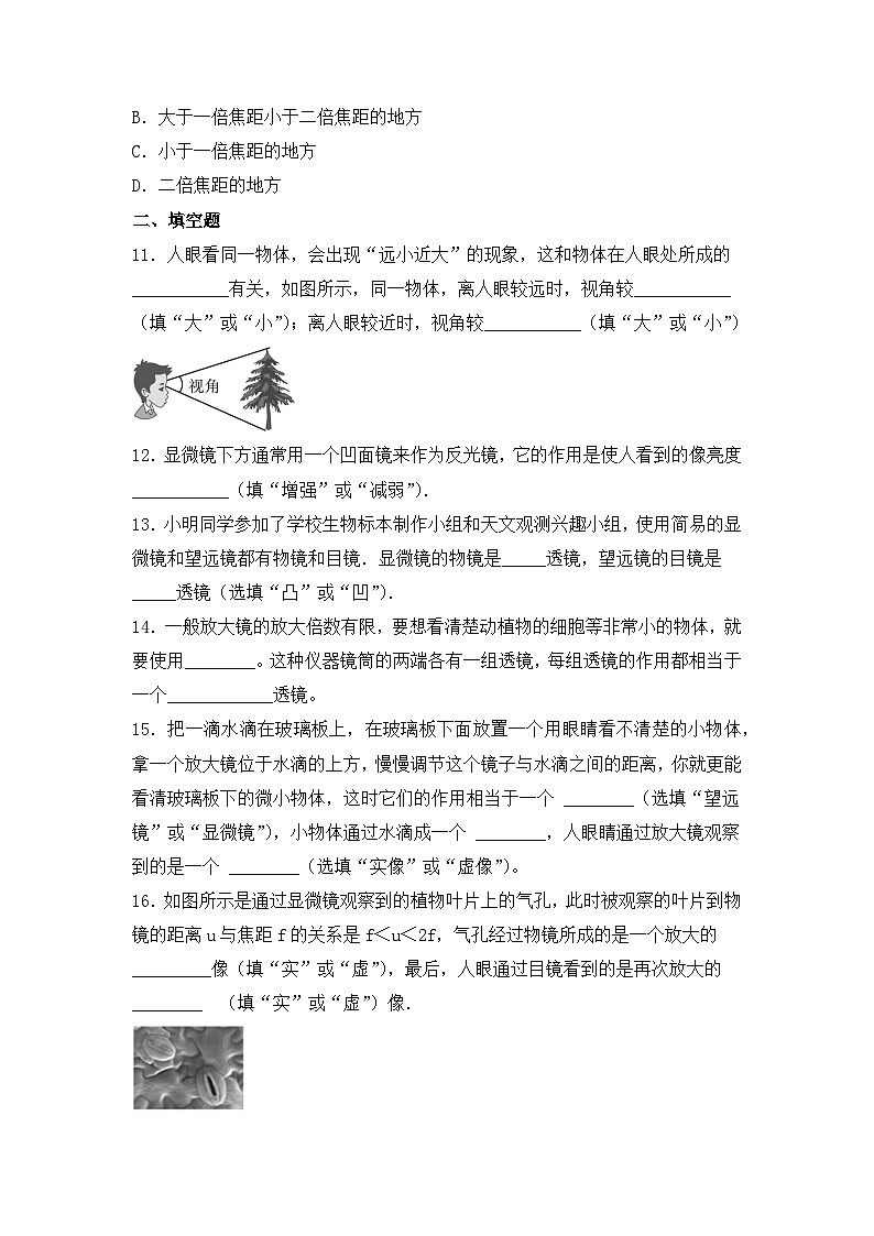 5.5《顯微鏡和望遠(yuǎn)鏡》同步練習(xí)題（含參考答案）第3頁