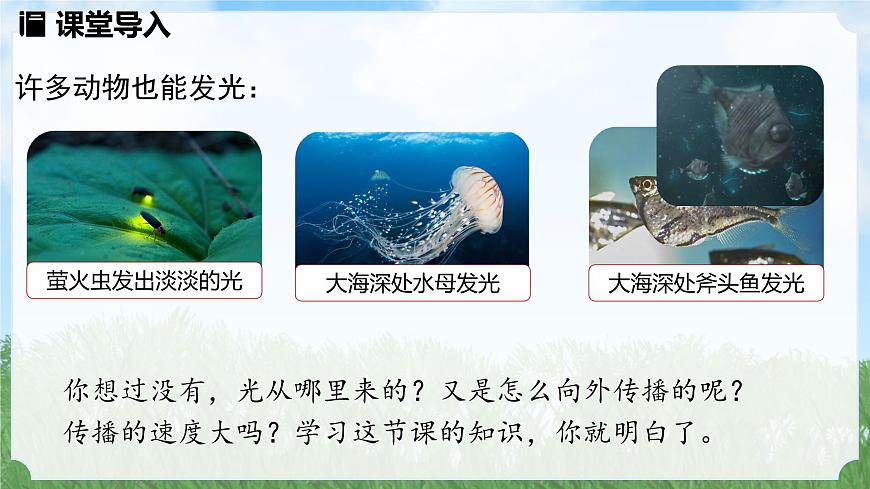 (2024)人教版物理八年級上冊(4-1)光的直線傳播PPT課件第4頁