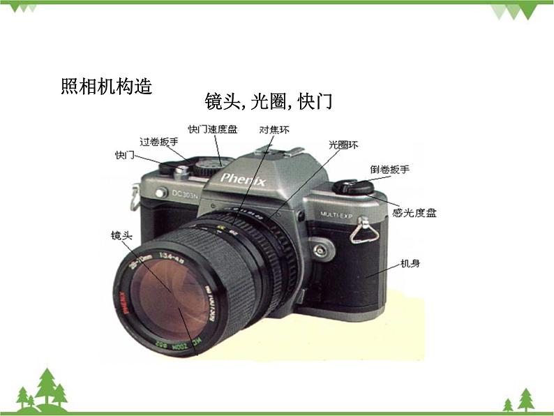 粤沪版物理八年级上册 3.7 眼睛与光学仪器3 第2课时 光学仪器课件第5页