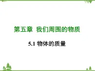 粤沪版物理八年级上册 5.1 物体的质量4课件